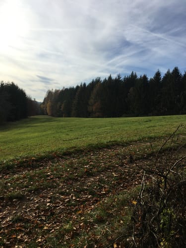 Plankenfels nach Muthmannsreuth entlang des Neubürg