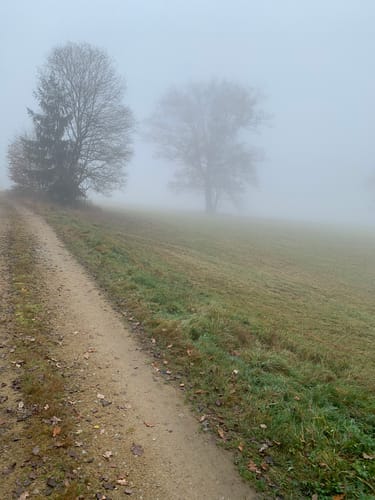 Von Schiederhof auf dem Naturweg Kobelberg