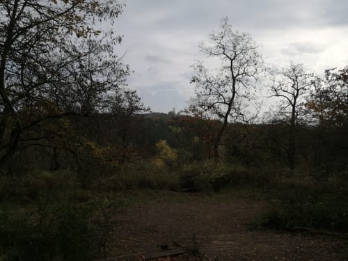 Kanonberge - Teufelssee - Müggelturm - Dahme
