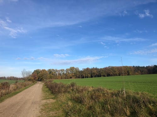 Radtour um Buchholz in der Nordheide