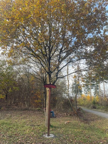 B1 - Galgenberg-Eisberg-Weg