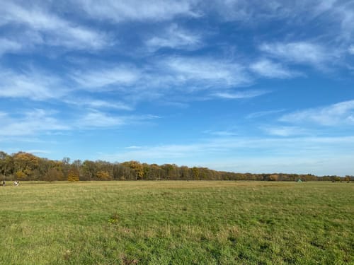 Höllenweg, Schwanheimer Wiese und Römerweg Rundweg