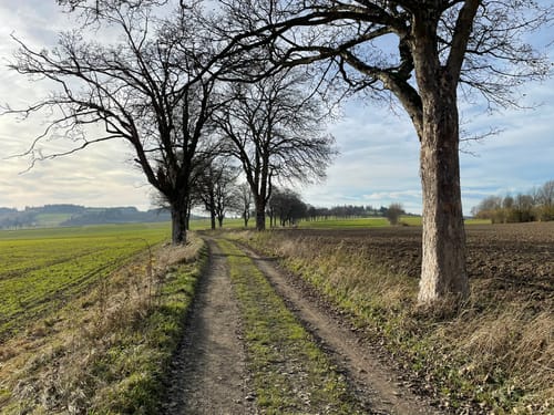 Bike-Netz 2: Tausender