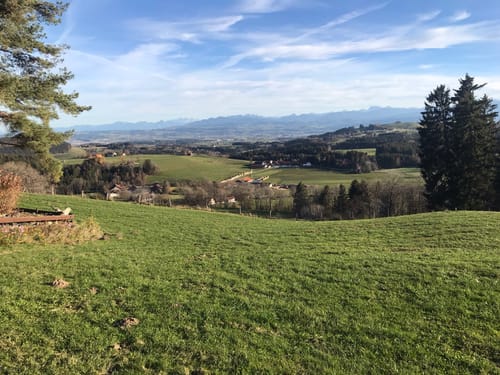 Wiggensbach zu dem Dürrer Bühl