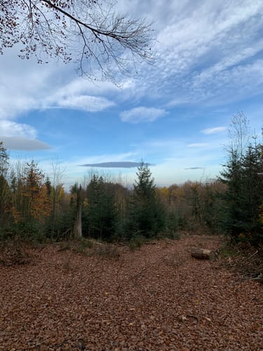 W4 Rundwanderweg Wennigsen 4