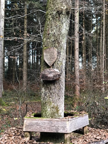 Zum Pöringer Waldspielplatz (Radtour 14)