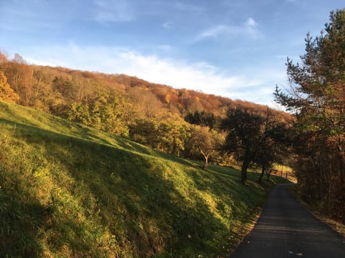 Rund um Frankendorf