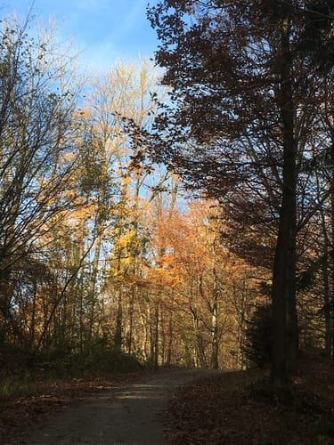 Rund um Frankendorf