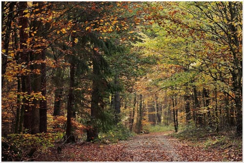 Rundweg bei Michelbach