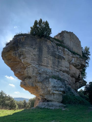 2023 Best Wild Flowers Trails in Balenyà AllTrails