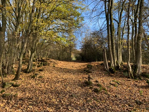 NaturTour Nidda (Premiumwanderweg)