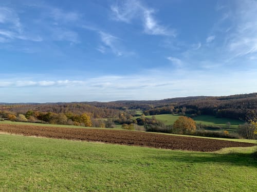 Vulkanring Vogelsberg Etappe 2: Eichelsdorf - Burkhards