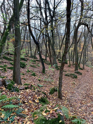 NaturTour Nidda (Premiumwanderweg)