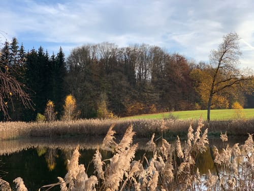 NaturTour Nidda (Premiumwanderweg)