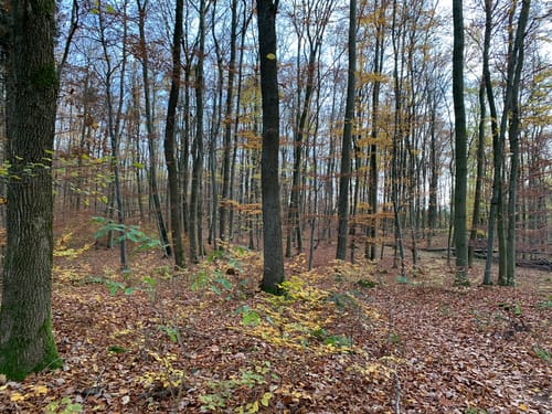 NaturTour Nidda (Premiumwanderweg)