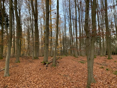 NaturTour Nidda (Premiumwanderweg)