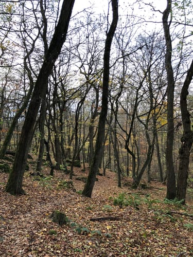 NaturTour Nidda (Premiumwanderweg)