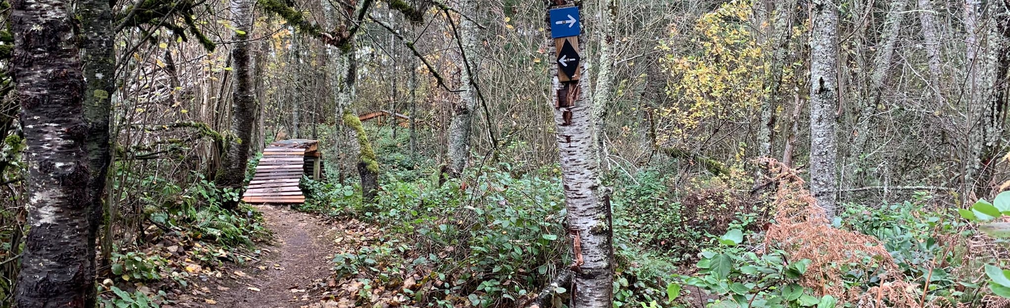 Crop Circles, Tapeworm, Silkworm and Parasite Trail Washington
