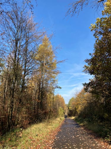 Bäumeweg
