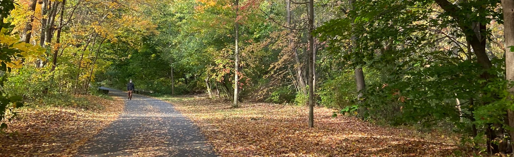 Minuteman Bikeway to Parker Meadow - EyJidWNrZXQiOiJhc3NldHMuYWxsdHJhaWxzLmNvbSIsImtleSI6InVwbG9hZHMvcGhvdG8vaW1hZ2UvMzE0NDM3OTYvZGEzMGVmYzQ0Mjg5NDMxZmJkMzY3NjhjOTg0NzVmNDIuanBnIiwiZWRpdHMiOnsidG9Gb3JtYXQiOiJqcGVnIiwicmVzaXplIjp7IndpZHRoIjoyMDQ0LCJoZWlnaHQiOjYyNCwiZml0IjoiY292ZXIifSwicm90YXRlIjpudWxsLCJqcGVnIjp7InRyZWxsaXNRdWFudGlzYXRpb24iOnRydWUsIm92ZXJzaG9vdERlcmluZ2luZyI6dHJ1ZSwib3B0aW1pc2VTY2FucyI6dHJ1ZSwicXVhbnRpc2F0aW9uVGFibGUiOjN9fX0=
