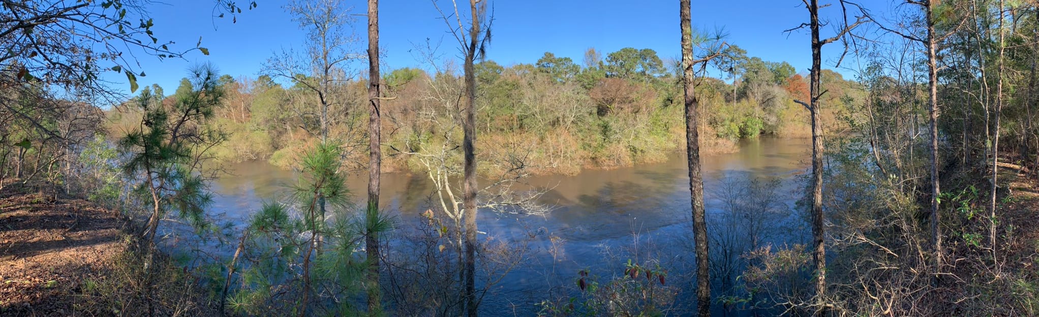 Cliffs of the Neuse Bird Trail: 33 Reviews, Map - North Carolina ...