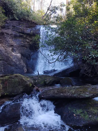 2023 Best 10 Dog Friendly Trails in Nantahala National Forest | AllTrails