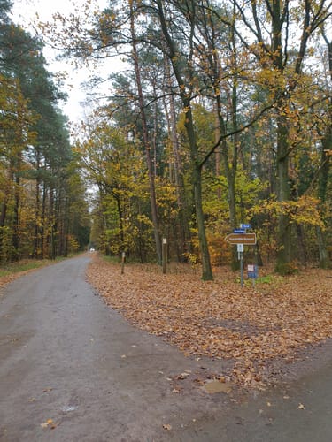 Radweg 18 Jesteburg