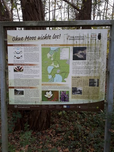Wendisch-Rietz - Limsdorf - Kossenblatt