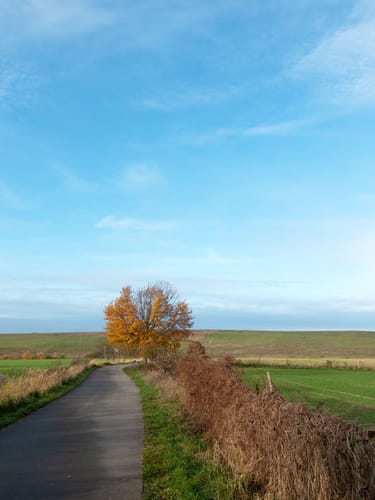 Wanderung zum Trebelsee
