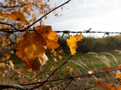 Wanderung zum Trebelsee