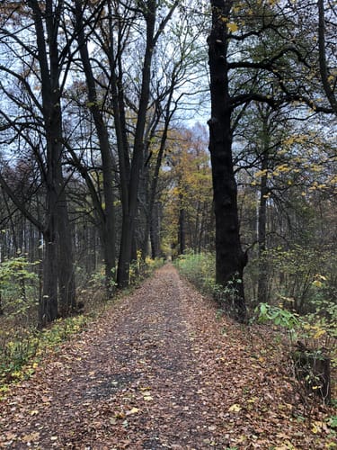 Muldental-Wanderweg Zwickauer Mulde Etappe 2: Glauchau - Waldenburg