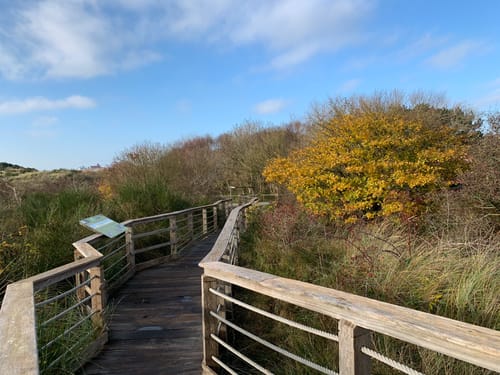Östliches Juist über Deichpromenade