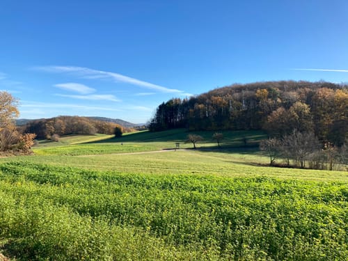 Steinklingen, Heiligkreuzsteinach, Eichelberg