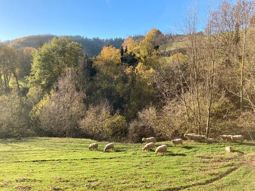 Steinklingen, Eichelberg und Altenbach