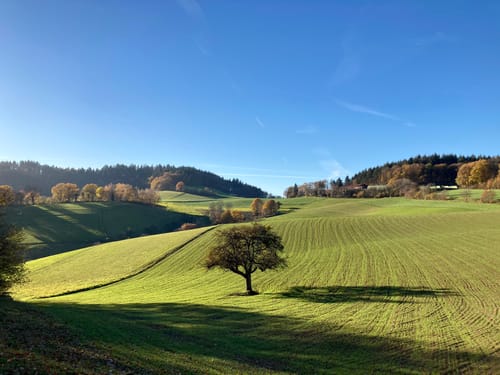 Steinklingen, Eichelberg und Altenbach