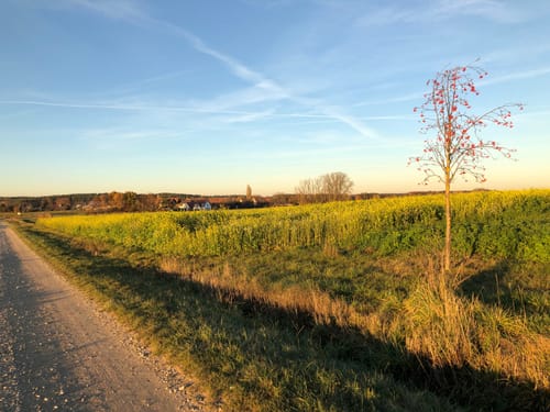 Weisendorfer Rundwanderweg 1