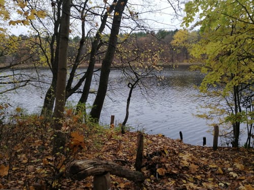 Krumme Lanke