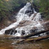 Tobacco Pouch Loop, Georgia - 90 Reviews, Map | AllTrails