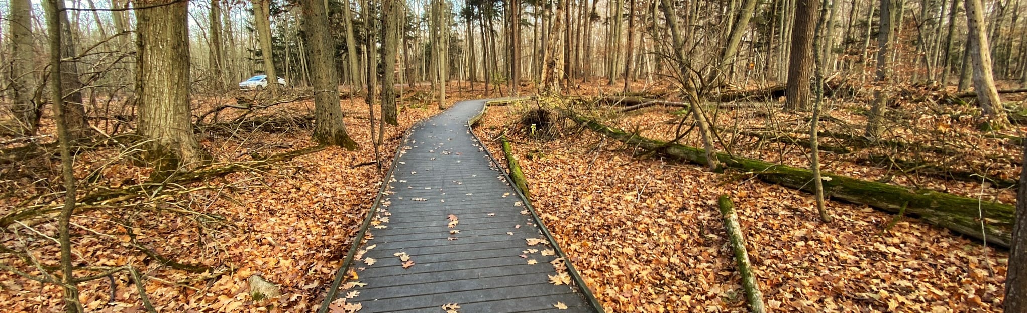 Jobes' Woods Trail, Ontario, Canada 122 Reviews, Map AllTrails