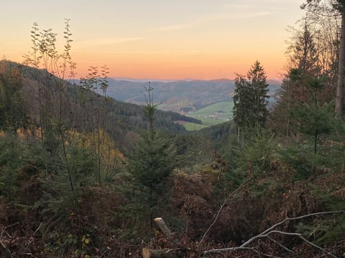 Runde bei Dörlinbach