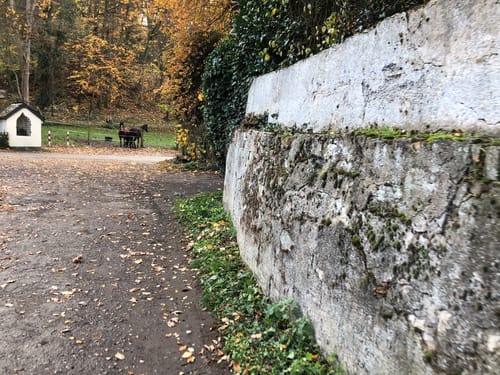 Rundweg Arienheller - Hartmannshof