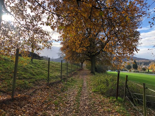 Rheinsteig: Von Leubsdorf nach Rheinbrohl