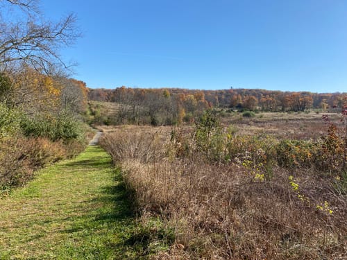 Photos of Griggstown Native Grassland Preserve Loop - New Jersey | AllTrails