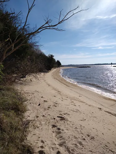 Best Hikes and Trails in Bill Burton Fishing Pier State Park