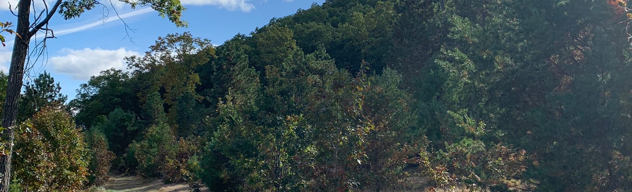 Black River State Forest Loop Trail, Wisconsin 139 Reviews, Map