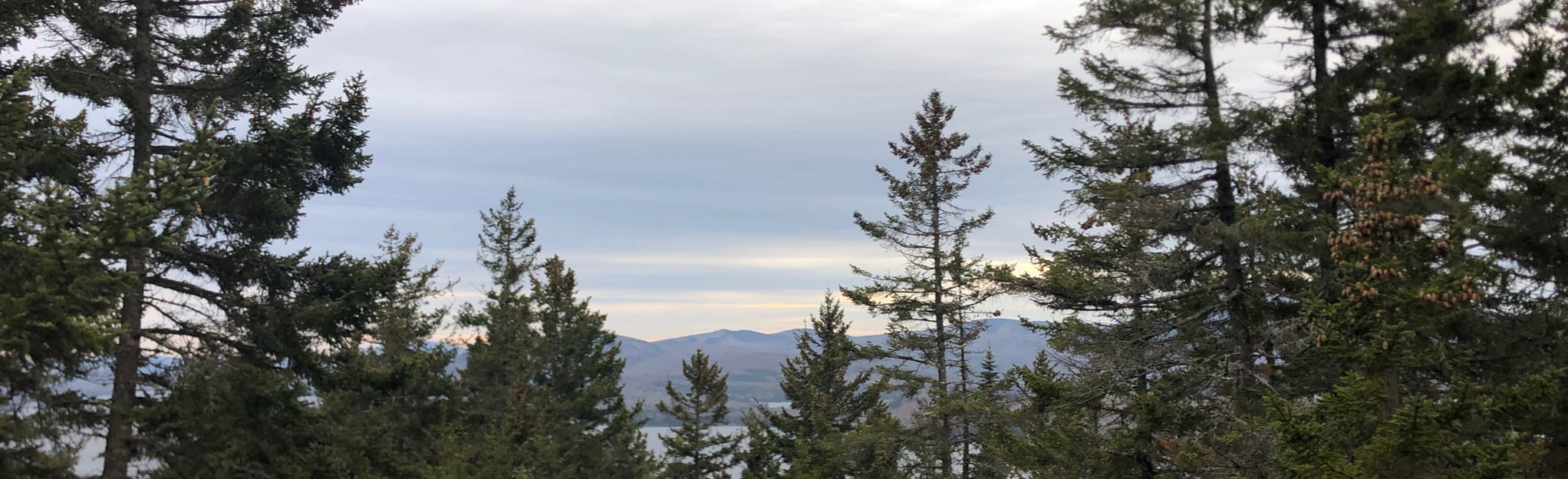 Burnt Jacket Mountain Green Trail, Maine 29 Reviews, Map AllTrails