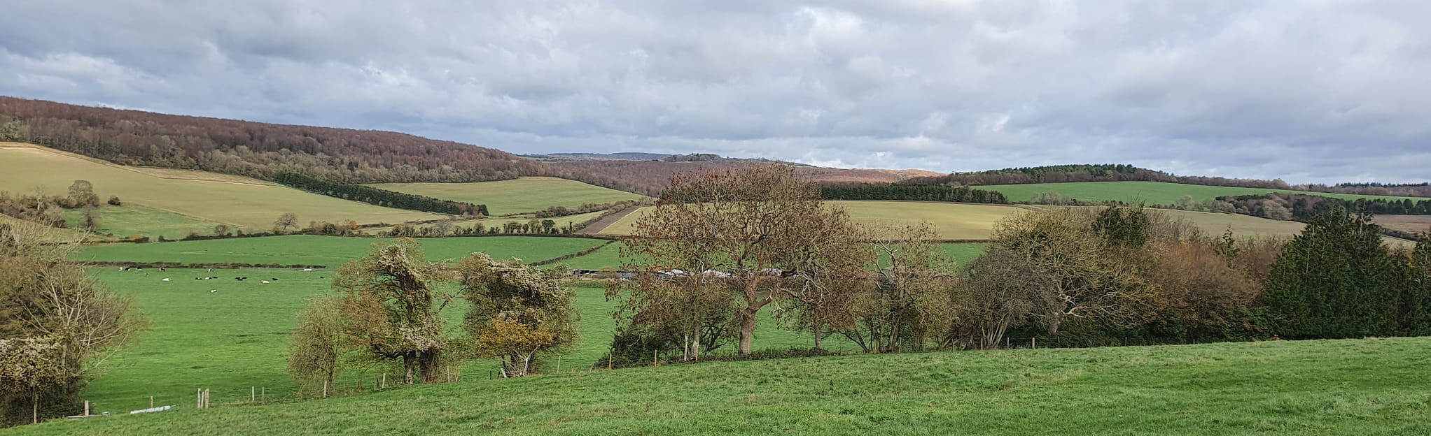 Stoughton and the Devil's Humps West Sussex, England AllTrails