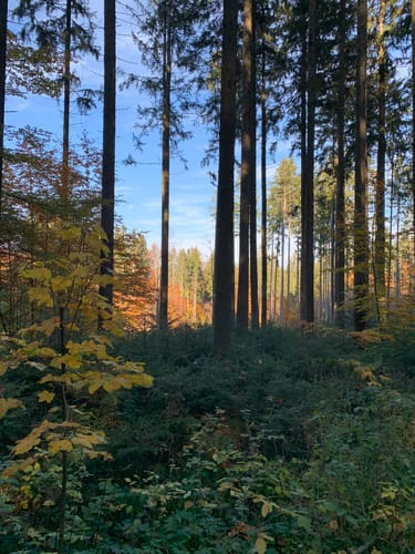 Planetenweg Scheyern