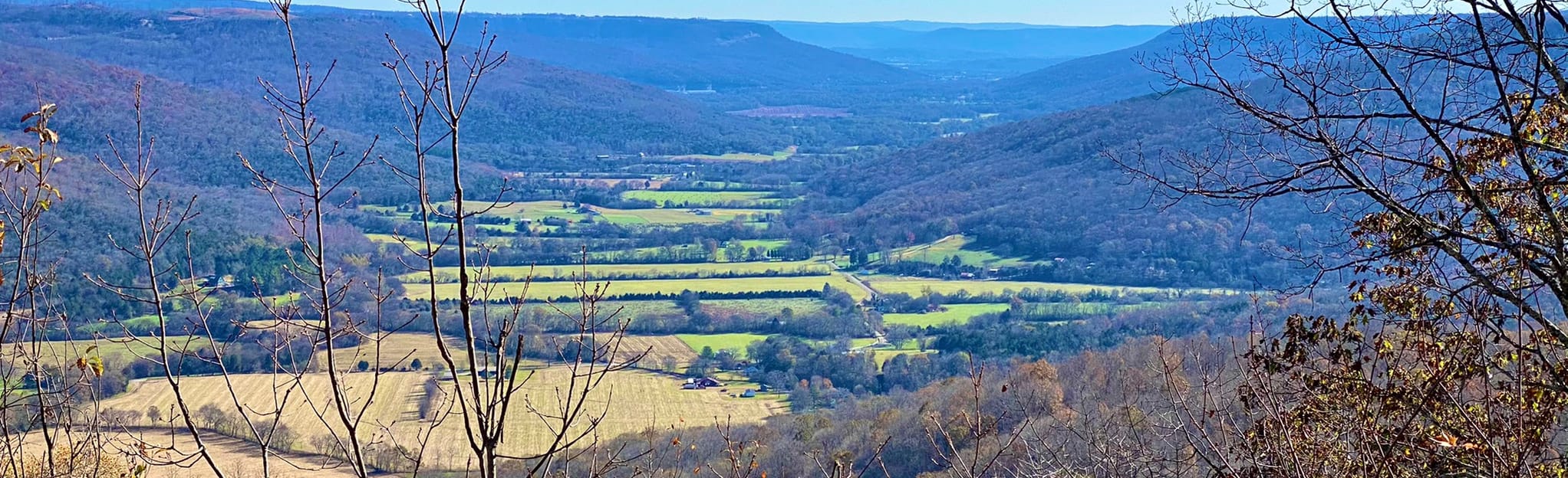 Franklin State Forest Outer Loop 89 Fotos Tennessee AllTrails