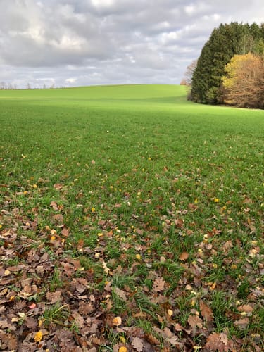 5-Weiher-Tour (Premiumwanderweg)